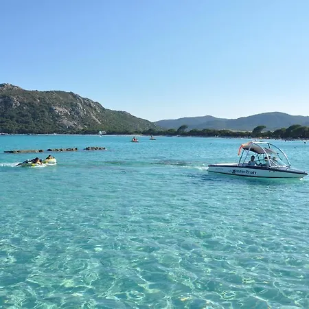 Sur Le Toit - Cita Di Sali * Porto-Vecchio